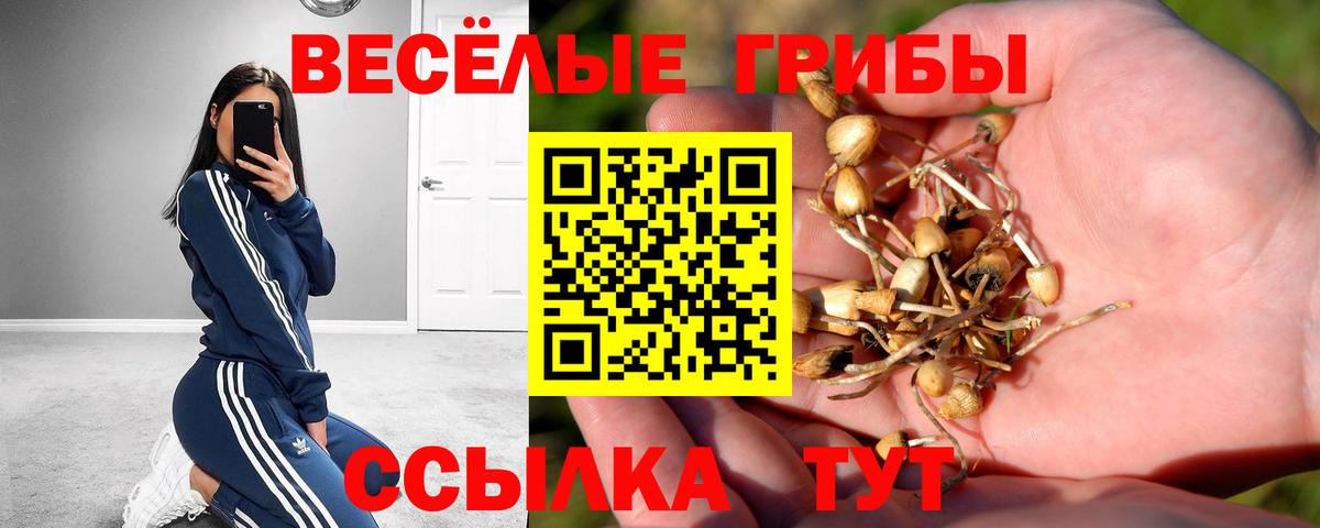 Галлюциногенные грибы мицелий  Вход с VPN  хочу наркоту  Новороссийск 